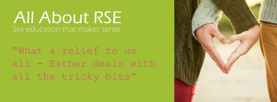 masthead for All About RSE